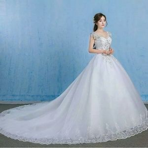 Sexy Luxury Wedding Dress Elegant Lace Appliques V-neck